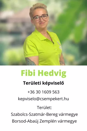 Fibi Hedvig