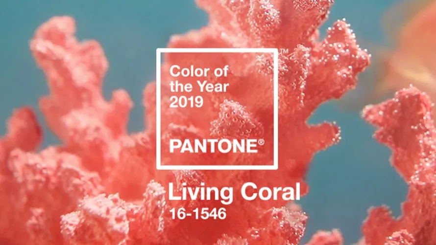 pantone living coral content 2018