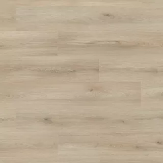 Falco Atlantic Ecru Cantal Oak 8mm laminált padló (AT8-K653P)