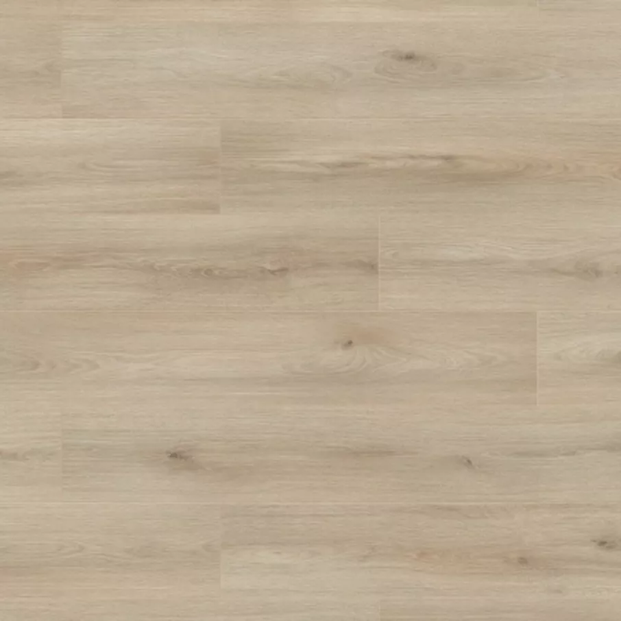 Falco Atlantic Ecru Cantal Oak 8mm laminált padló (AT8-K653P)