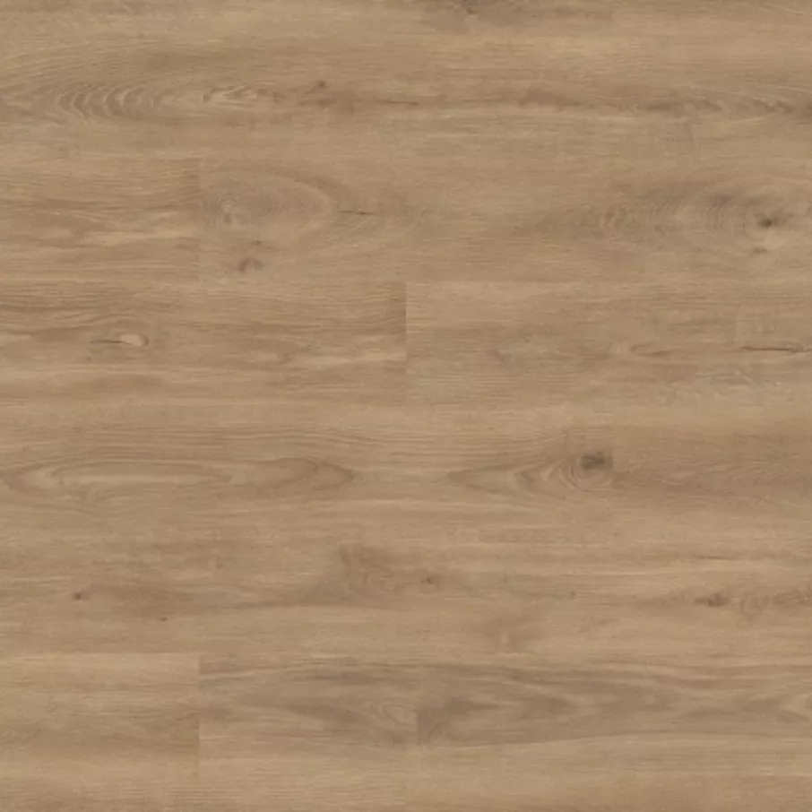 Falco Atlantic Natural Cashmere Oak 8mm laminált padló (AT8-K470P)