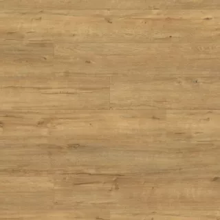 Falco Super Natural Gold Apollo Oak 8mm laminált padló (SN-K633P)