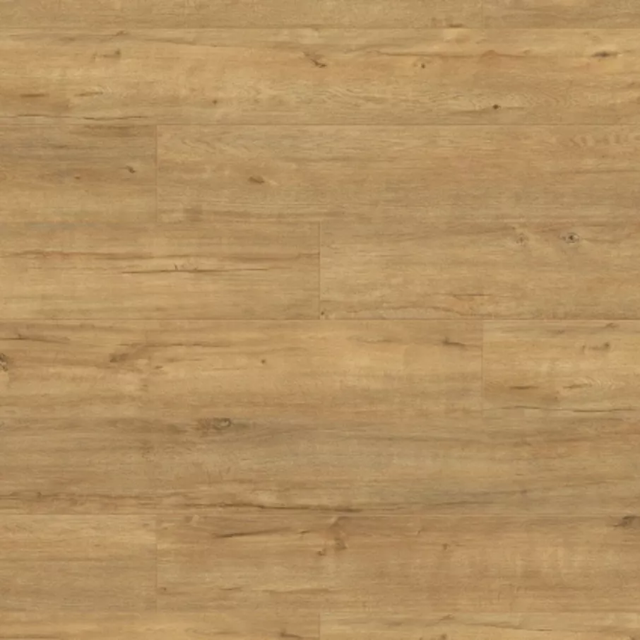 Falco Super Natural Gold Apollo Oak 8mm laminált padló (SN-K633P)